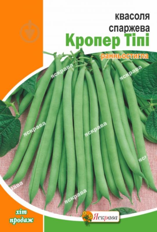 Семена Яскрава фасоль спаржевая спаржевая Кропер Типи - фото 1