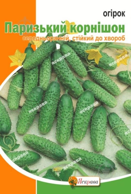 Семена Яскрава огурец ПАРИЖСКИЙ КОРНИШОН - фото 1 Семена Яскрава огурец ПАРИЖСКИЙ КОРНИШОН - фото 1