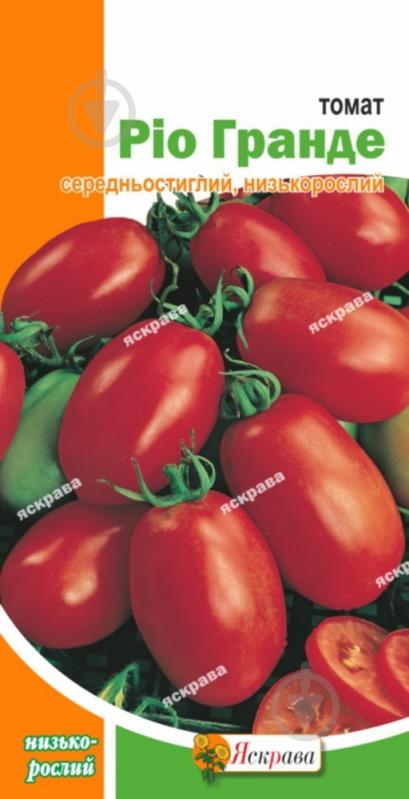 Семена Яскрава томат Рио Гранде - фото 1