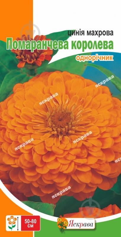 Насіння Яскрава майорці махрова Помаранчева Королева - фото 1 Насіння Яскрава майорці махрова Помаранчева Королева - фото 1