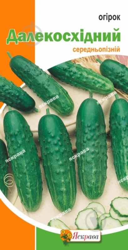 Семена Яскрава огурец Дальневосточный - фото 1 Семена Яскрава огурец Дальневосточный - фото 1