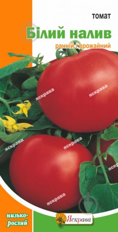 Семена Яскрава томат Белый Налив - фото 1 Семена Яскрава томат Белый Налив - фото 1