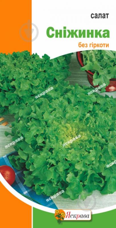 Семена Яскрава салат Снежинка - фото 1 Семена Яскрава салат Снежинка - фото 1