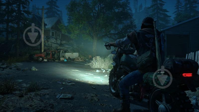 Игра Sony Days Gone (PS4, русская версия) - фото 9