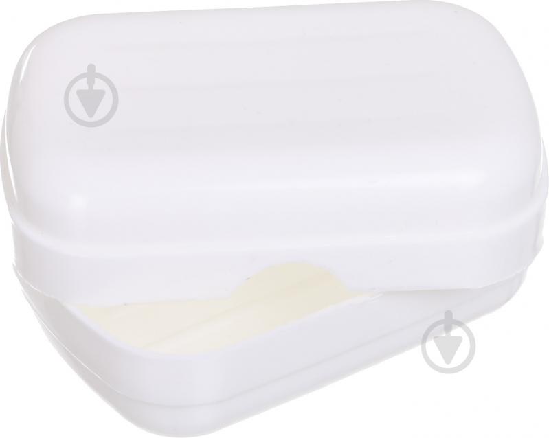 Мыльница VanStore дорожная в ассортименте - фото 2 Мыльница VanStore дорожная в ассортименте - фото 2