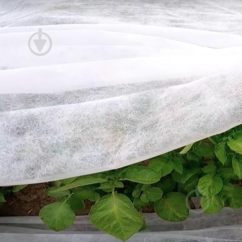 Агроволокно Agreen 23 UV белое 3,2х10 м - фото 7
