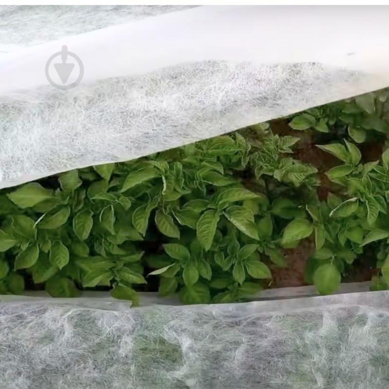 Агроволокно Agreen 23 UV белое 3,2х10 м - фото 8