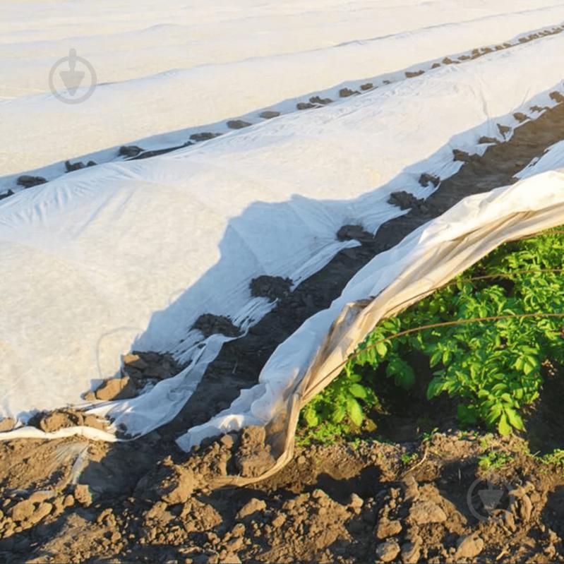 Агроволокно Agreen 30 UV белое 1,6х10 м - фото 7