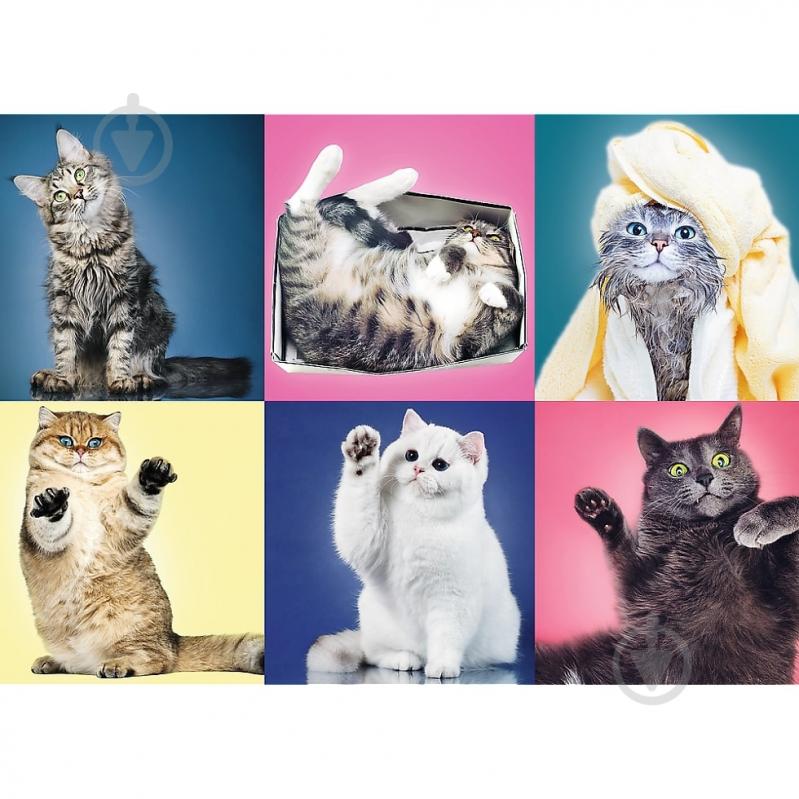 Пазлы Trefl Котики 6281652 - фото 3