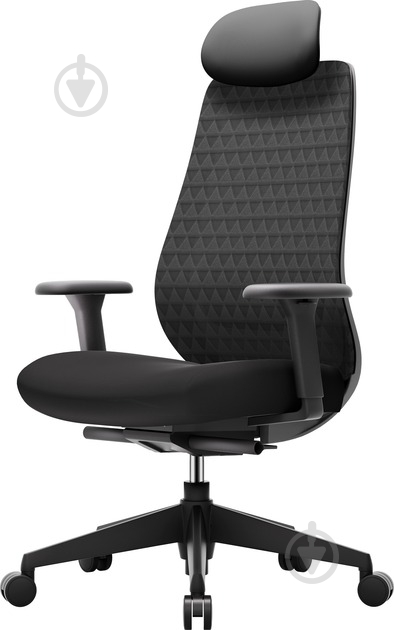 Кресло офисное OfficePro Omnis OC640B черный - фото 1