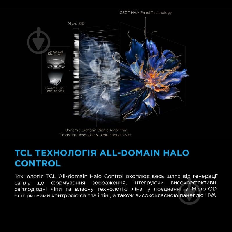 Телевизор TCL 50C6KS - фото 8