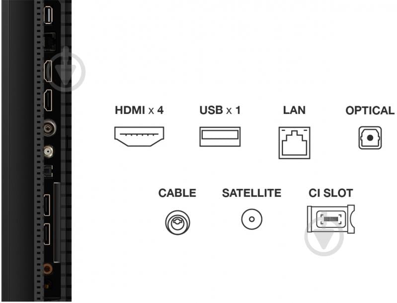Телевизор TCL 50C6K - фото 3