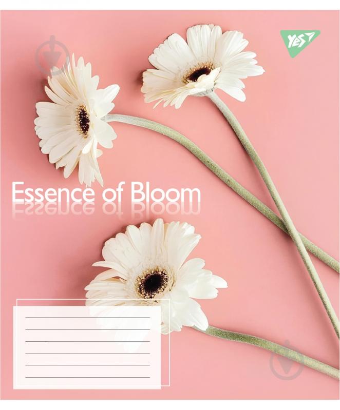 Набір шкільних зошитів Essence of Bloom 60 аркушів клітинка 5 шт. YES - фото 2