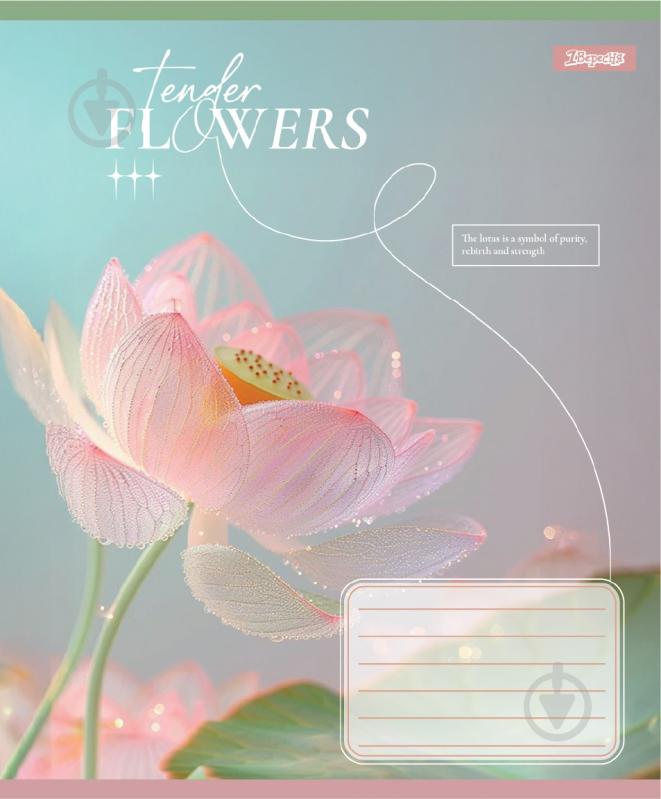 Набір шкільних зошитів Tender Flowers 12 аркушів коса лінія 5 шт. YES - фото 2