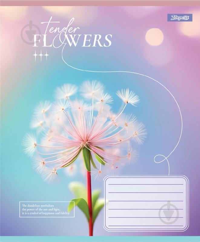 Набір шкільних зошитів Tender Flowers 12 аркушів коса лінія 5 шт. YES - фото 3