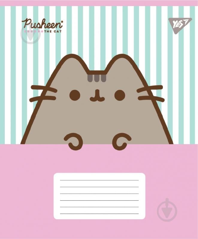 Набір шкільних зошитів Pusheen Candy 12 аркушів коса лінія 5 шт. YES - фото 2