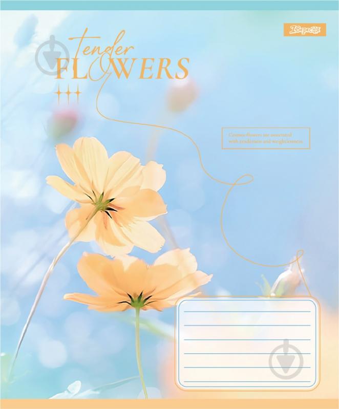 Набор школьных тетрадей Tender Flowers 18 листов линия 5 шт. YES - фото 5