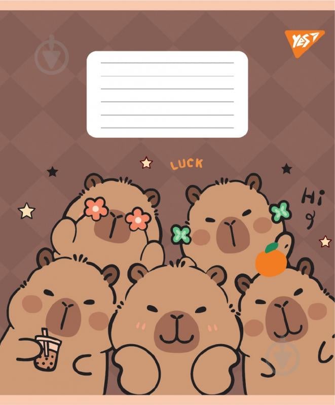 Набор школьных тетрадей Capy Tay 24 листа линия 5 шт. YES - фото 2