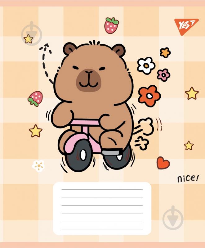 Набор школьных тетрадей Capy Tay 24 листа линия 5 шт. YES - фото 3