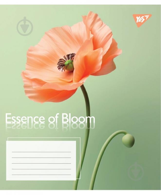 Набір шкільних зошитів Essence of Bloom 96 аркушів лінія 5 шт. YES - фото 4 Набір шкільних зошитів Essence of Bloom 96 аркушів лінія 5 шт. YES - фото 4