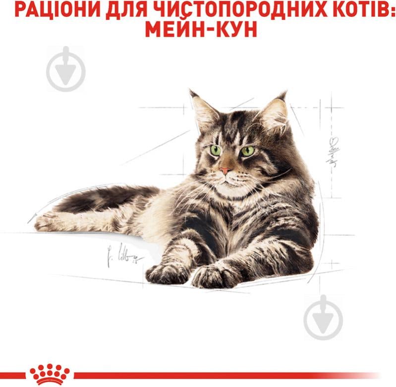 Корм сухий для дорослих котів породи мейн-кун Royal Canin Maine Coon Adult свійська птиця, кукурудза, рис 4 кг - фото 4