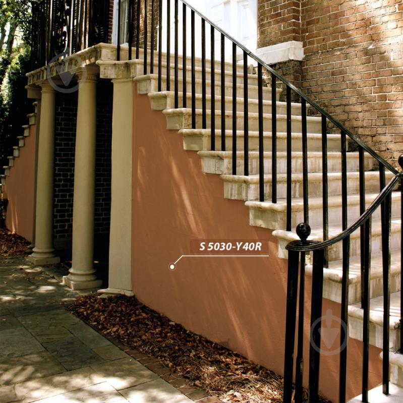 Фарба латексна Feidal Schutzfarbe мат база під тонування 5 л - фото 4