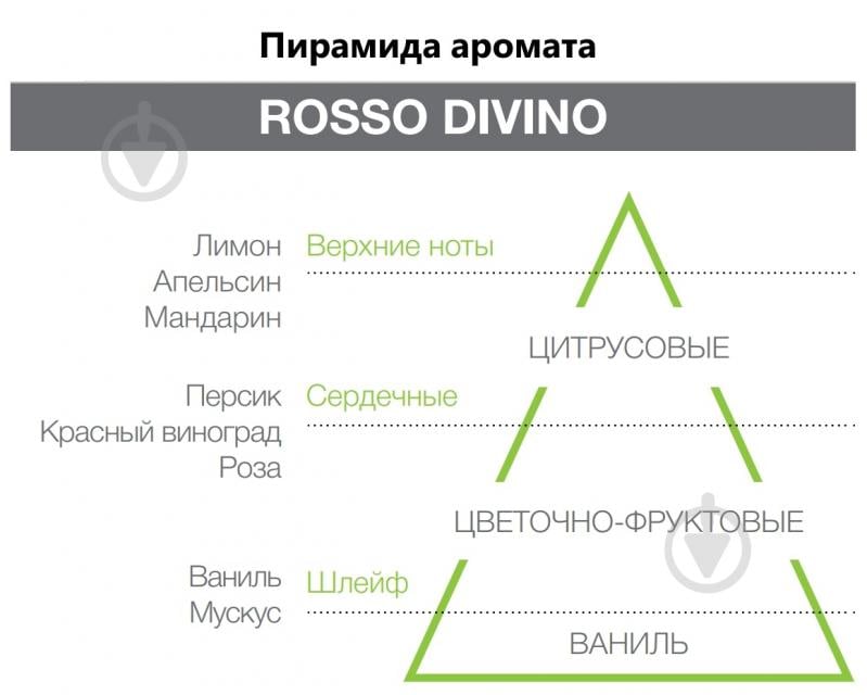 Аромадиффузор для дома Hypno Casa Rosso Divine 1000 мл - фото 4