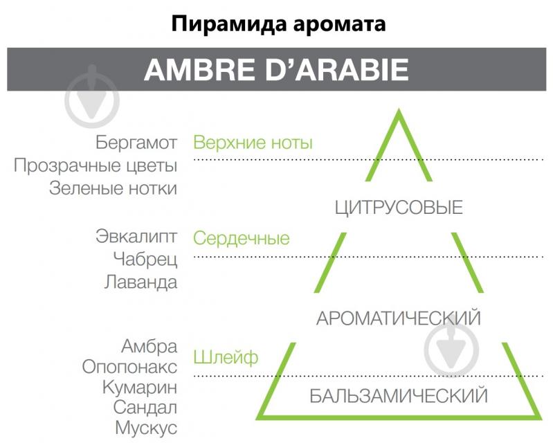 Аромадиффузор для дома Hypno Casa Ambra D'arabia 200 мл (парфюм + палочки) - фото 2