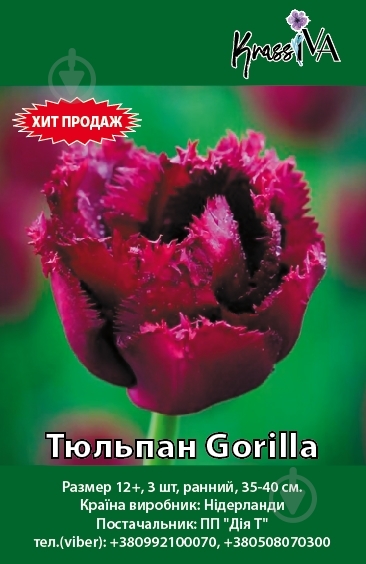 Луковица Тюльпан Gorilla 3 шт. - фото 1 Луковица Тюльпан Gorilla 3 шт. - фото 1