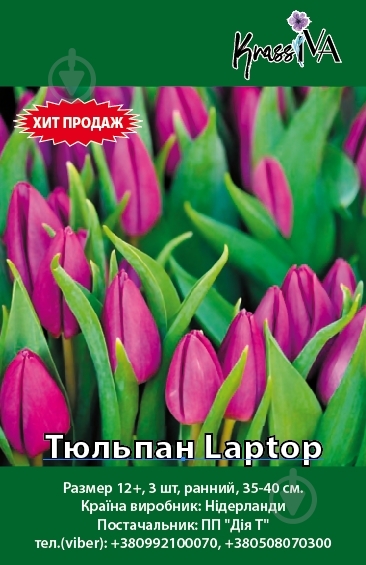 Луковица Тюльпан Laptop 3 шт. - фото 1 Луковица Тюльпан Laptop 3 шт. - фото 1