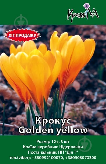 Луковица Крокус Golden yellow 3 шт. - фото 1