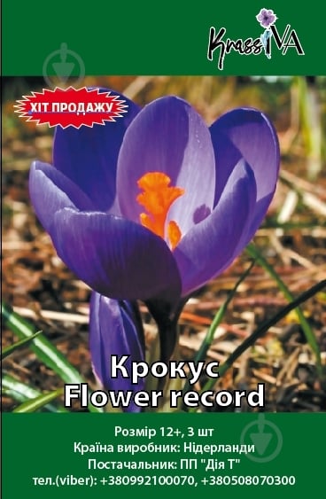 Цибулина Крокус Flower record 3 шт. - фото 1