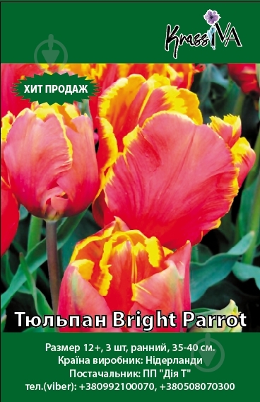 Цибулина Тюльпан Bright Parrot 3 шт. - фото 1