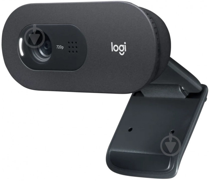 Веб-камера Logitech C505e HD (960-001372) - фото 1