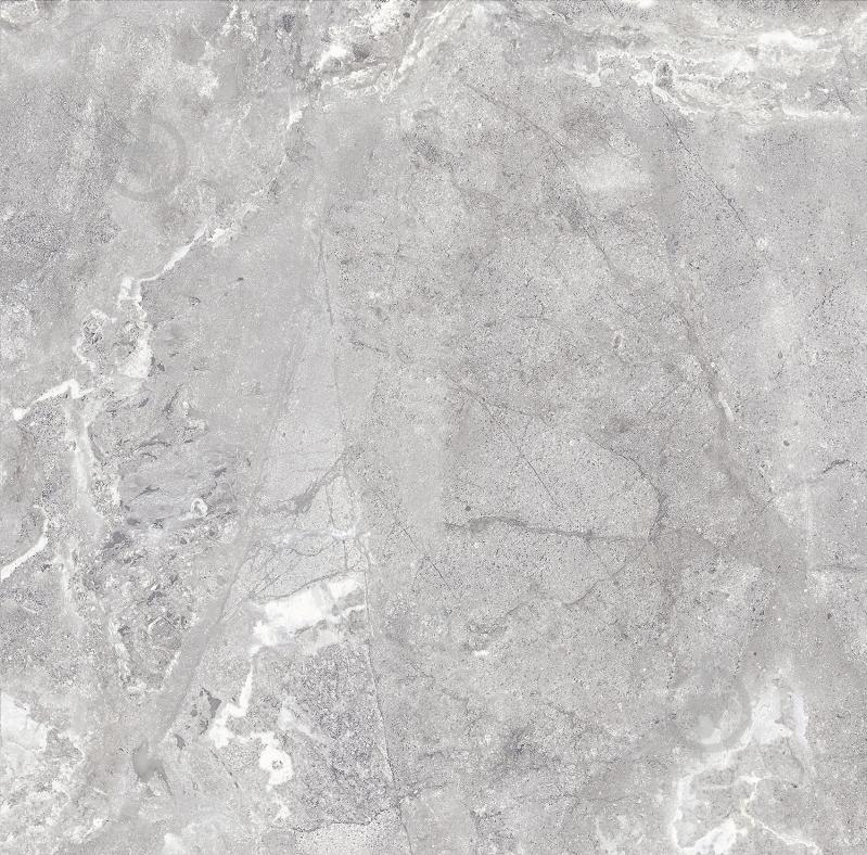 Плитка Allore Group Snake stone Silver F PC R Sugar 60x60 см - фото 2