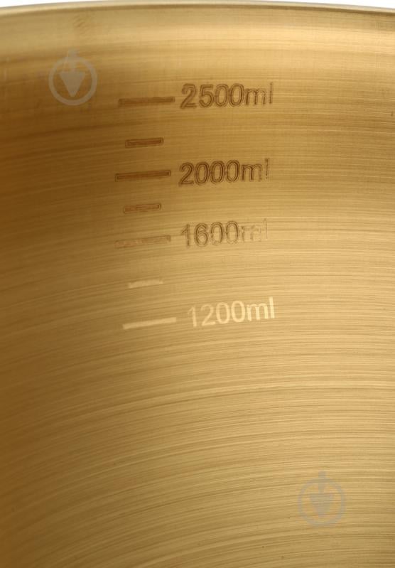 Миска Flamberg Premium d.24 см 2,5 л золотой - фото 5