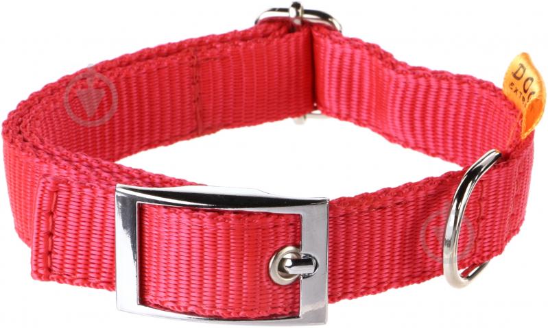 Ошейник Dog Extremе Collar регулируемый с пряжкой 2х26-40 см 55803 - фото 1