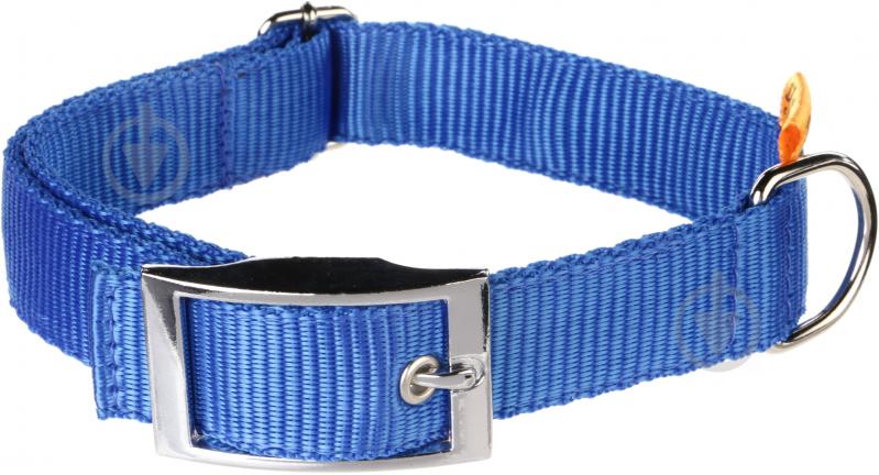 Нашийник Dog Extremе Collar регульований з пряжкою 2,5х33-50 см 55812 - фото 1