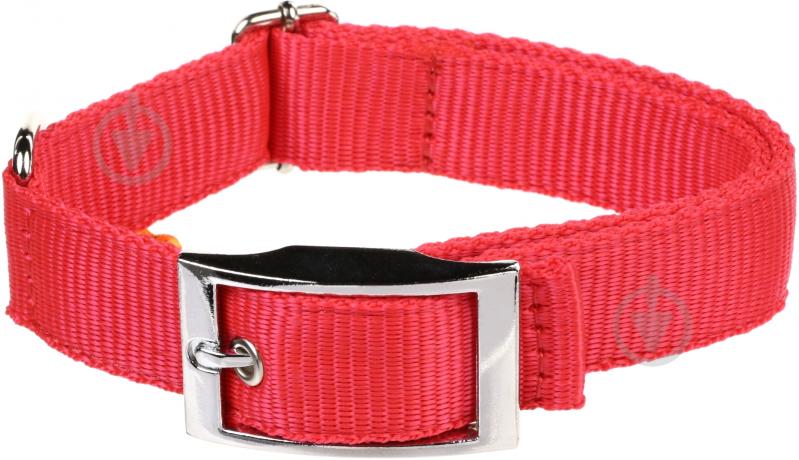 Ошейник Dog Extremе Collar регулируемый с пряжкой 2,5х33-50 см 55813 - фото 1