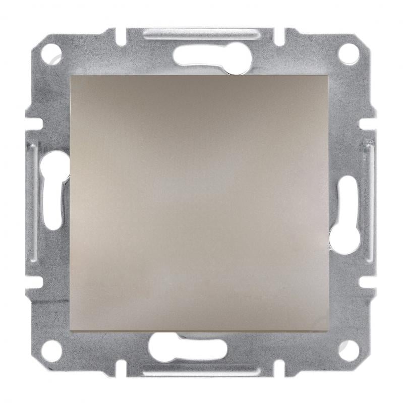 Заглушка Schneider Electric Asfora бронзовый EPH5600169 - фото 1 Заглушка Schneider Electric Asfora бронзовый EPH5600169 - фото 1