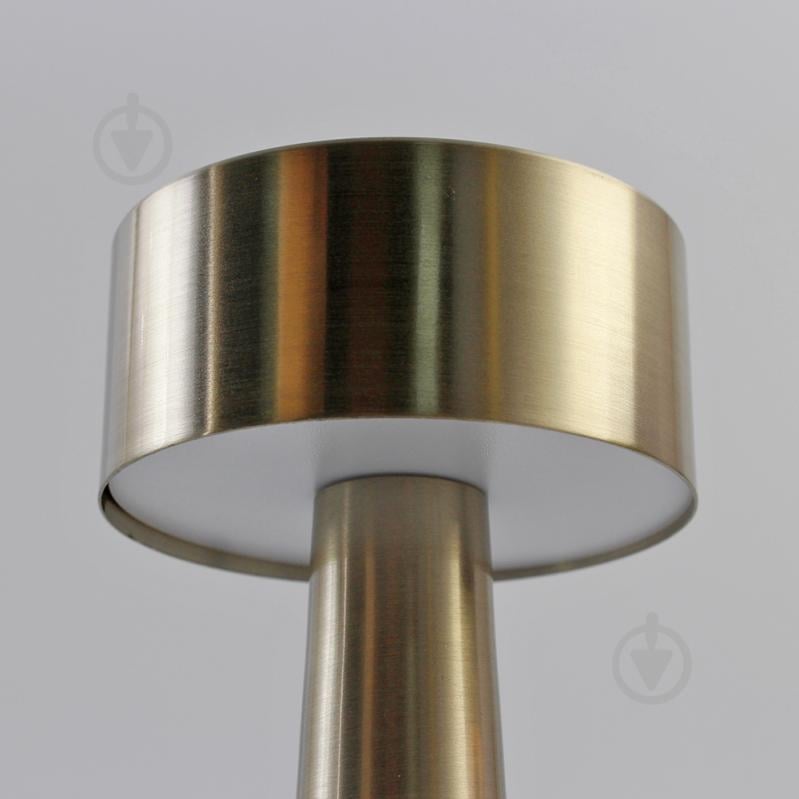 Светильник ESLLSE DOWN LIGHT 2 Вт LED-модуль золотой 10318 - фото 9 Светильник ESLLSE DOWN LIGHT 2 Вт LED-модуль золотой 10318 - фото 9