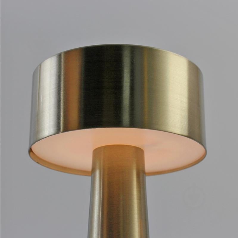 Светильник ESLLSE DOWN LIGHT 2 Вт LED-модуль золотой 10318 - фото 7 Светильник ESLLSE DOWN LIGHT 2 Вт LED-модуль золотой 10318 - фото 7