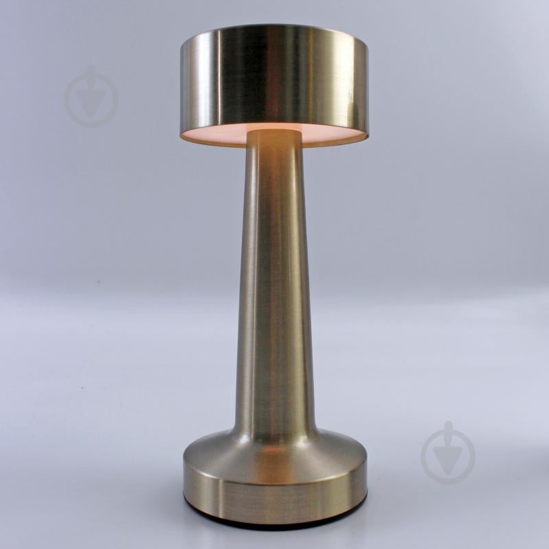 Светильник ESLLSE DOWN LIGHT 2 Вт LED-модуль золотой 10318 - фото 3 Светильник ESLLSE DOWN LIGHT 2 Вт LED-модуль золотой 10318 - фото 3