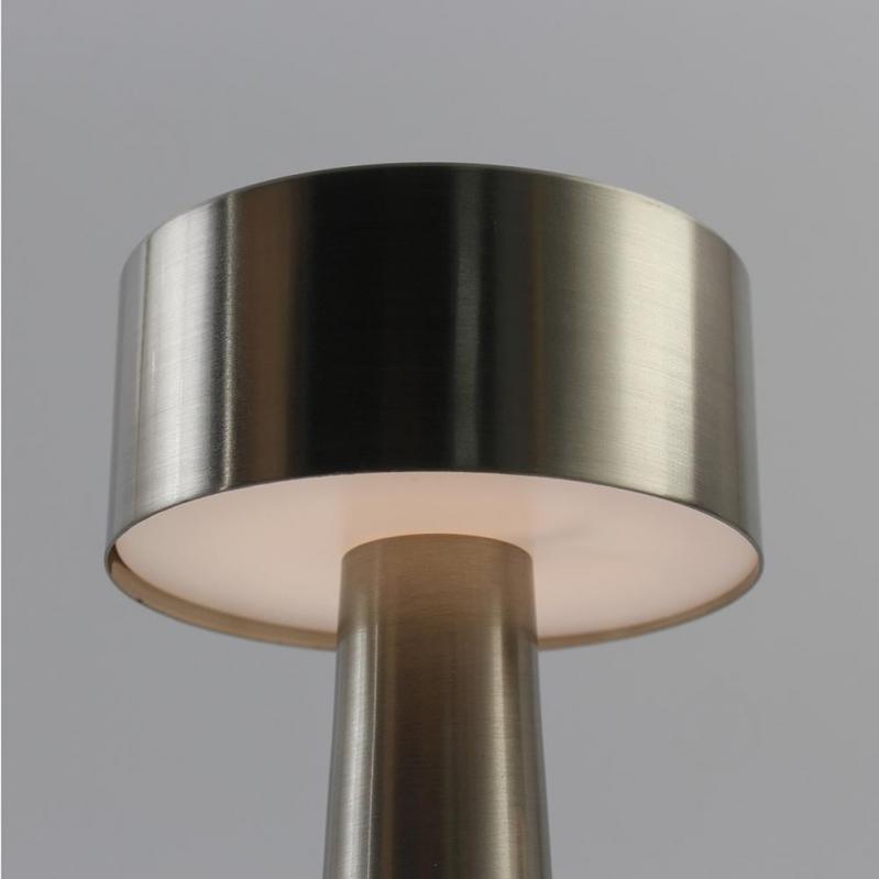 Світильник ESLLSE DOWN LIGHT LED-модуль матовий хром 10317 - фото 7 Світильник ESLLSE DOWN LIGHT LED-модуль матовий хром 10317 - фото 7