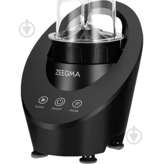 Блендер для смузи Zeegma VITAMINE FERRO - фото 1