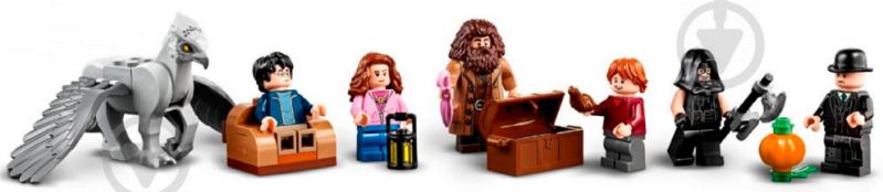 Конструктор LEGO Harry Potter Хатинка Геґріда: порятунок Бакбика 75947 - фото 12