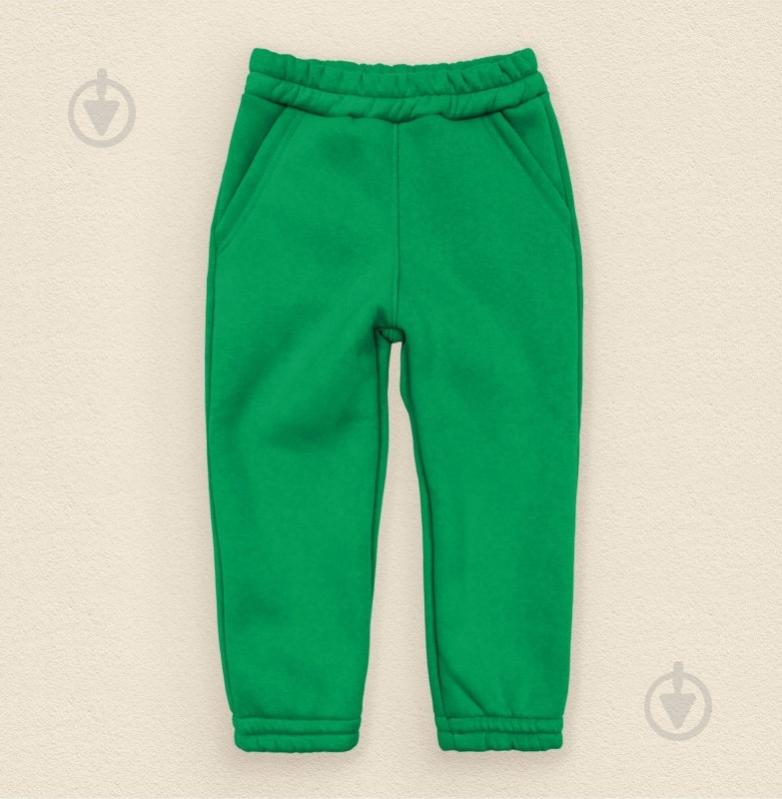 Комплект дитячого одягу Dexter`s Leaf & Style р.110 d2147-17 - фото 4