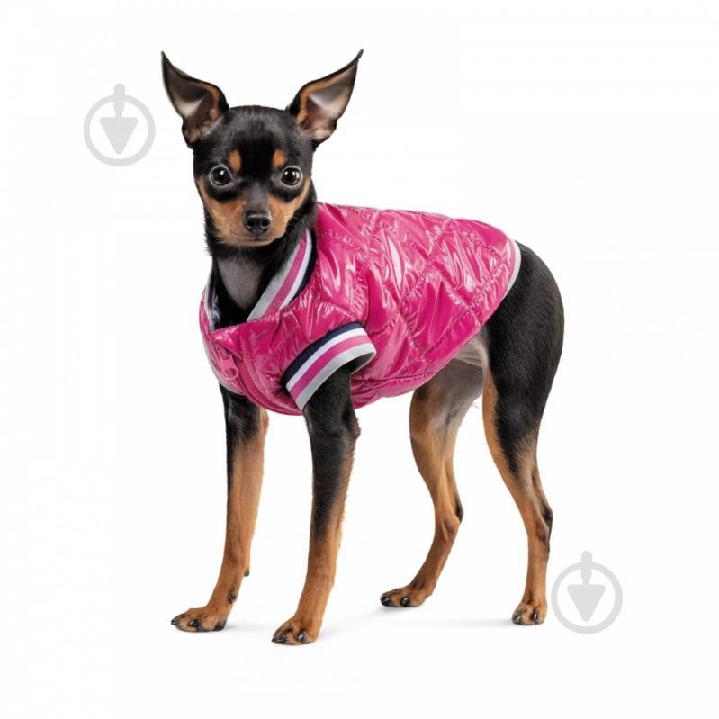 Бомбер Pet Fashion Grace XS-2 PR243015 - фото 2