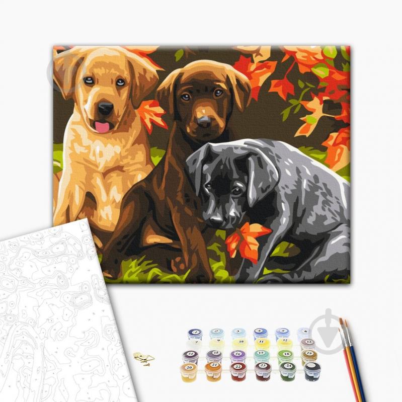 Картина по номерам Три щенка 30x40 см Brushme - фото 1