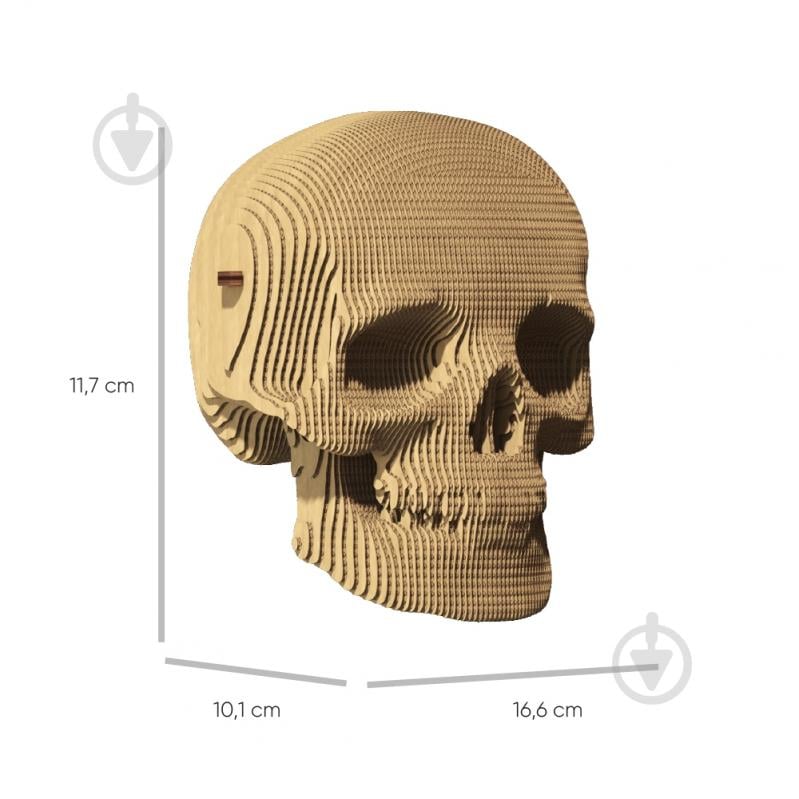 3D-пазл Cartonic SKULL CARTSKUL - фото 6